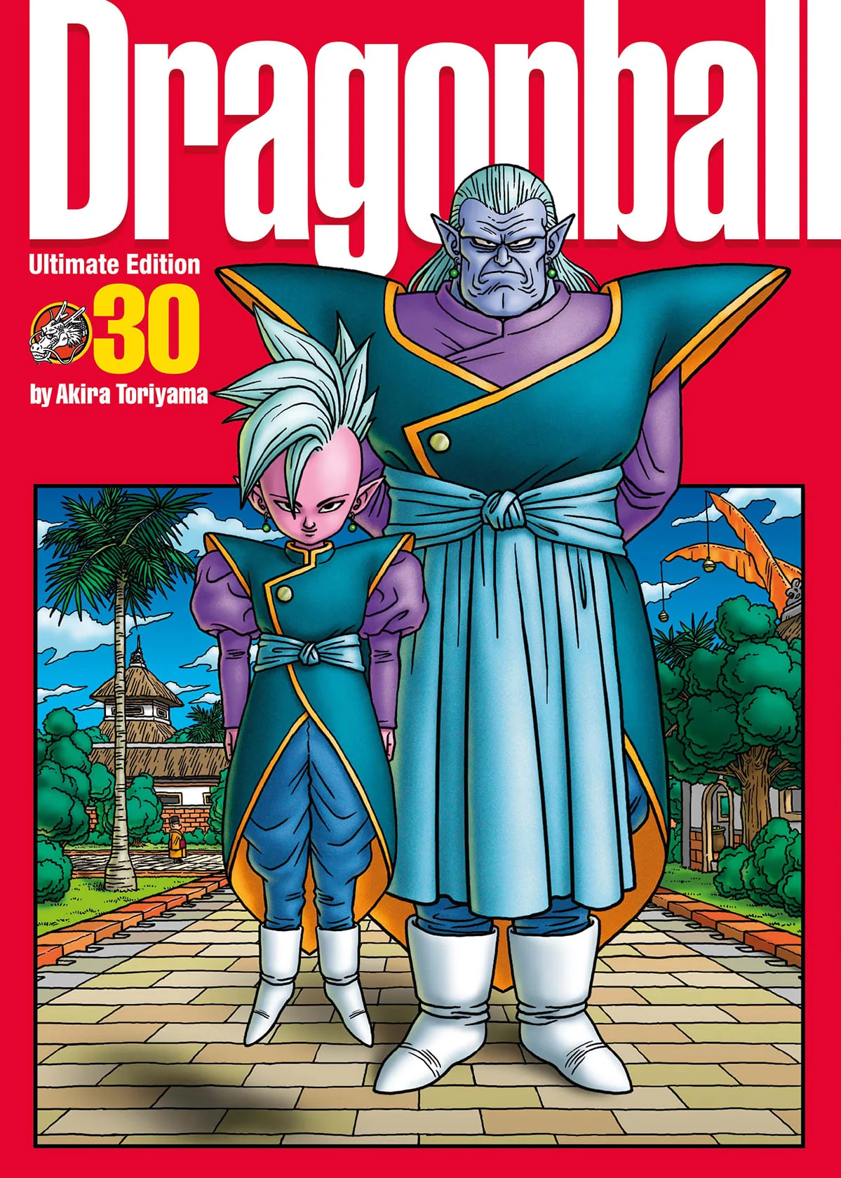 DRAGON BALL ULTIMATE EDITION 30