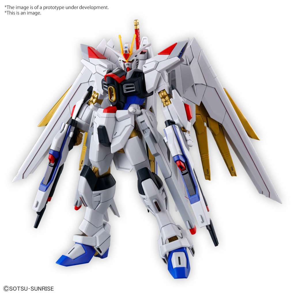 HG GUNDAM MIGHTY STRIKE FREEDOM 1/1