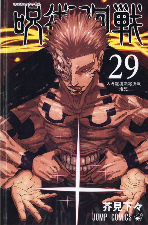 JUJUTSU KAISEN SORCERY FIGHT 29