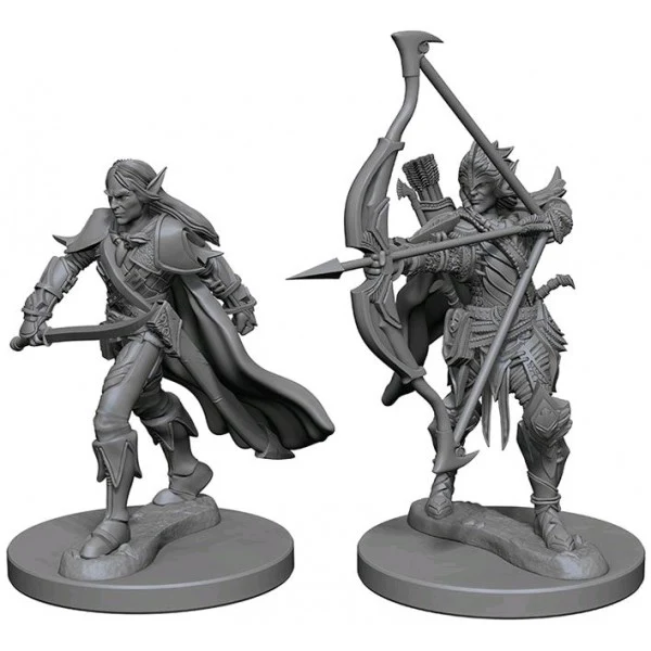 PATHFINDER DCUM ELF MALE FIGHTER