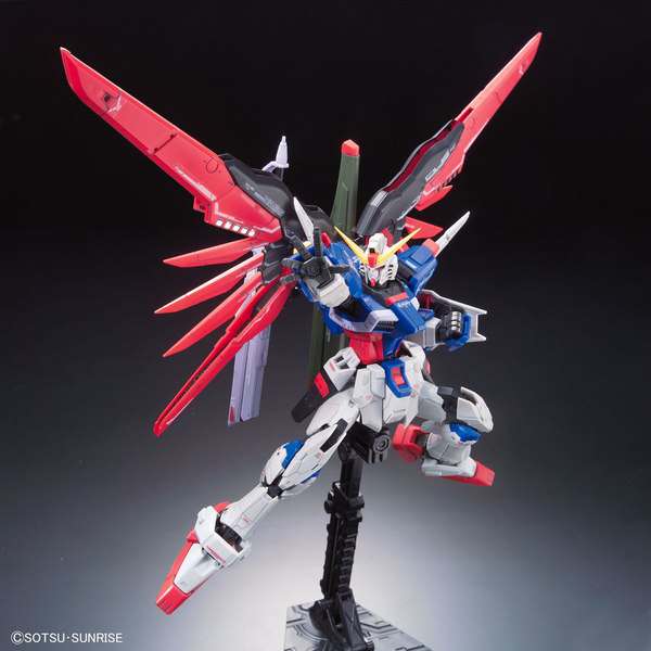 RG DESTINY GUNDAM - Image 2