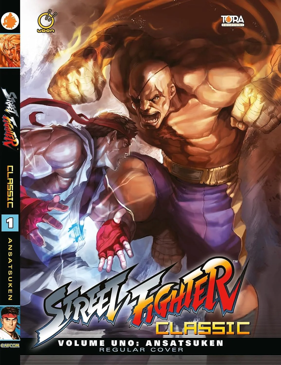 STREET FIGHTER CLASSICS 1